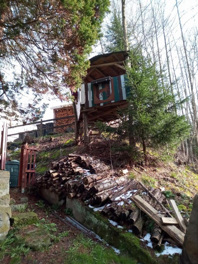 Ferienwohnung Zum Sebnitzer Hirsch المظهر الخارجي الصورة