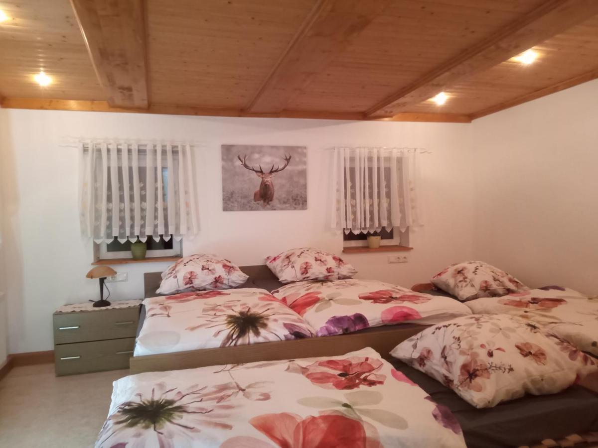 Ferienwohnung Zum Sebnitzer Hirsch المظهر الخارجي الصورة