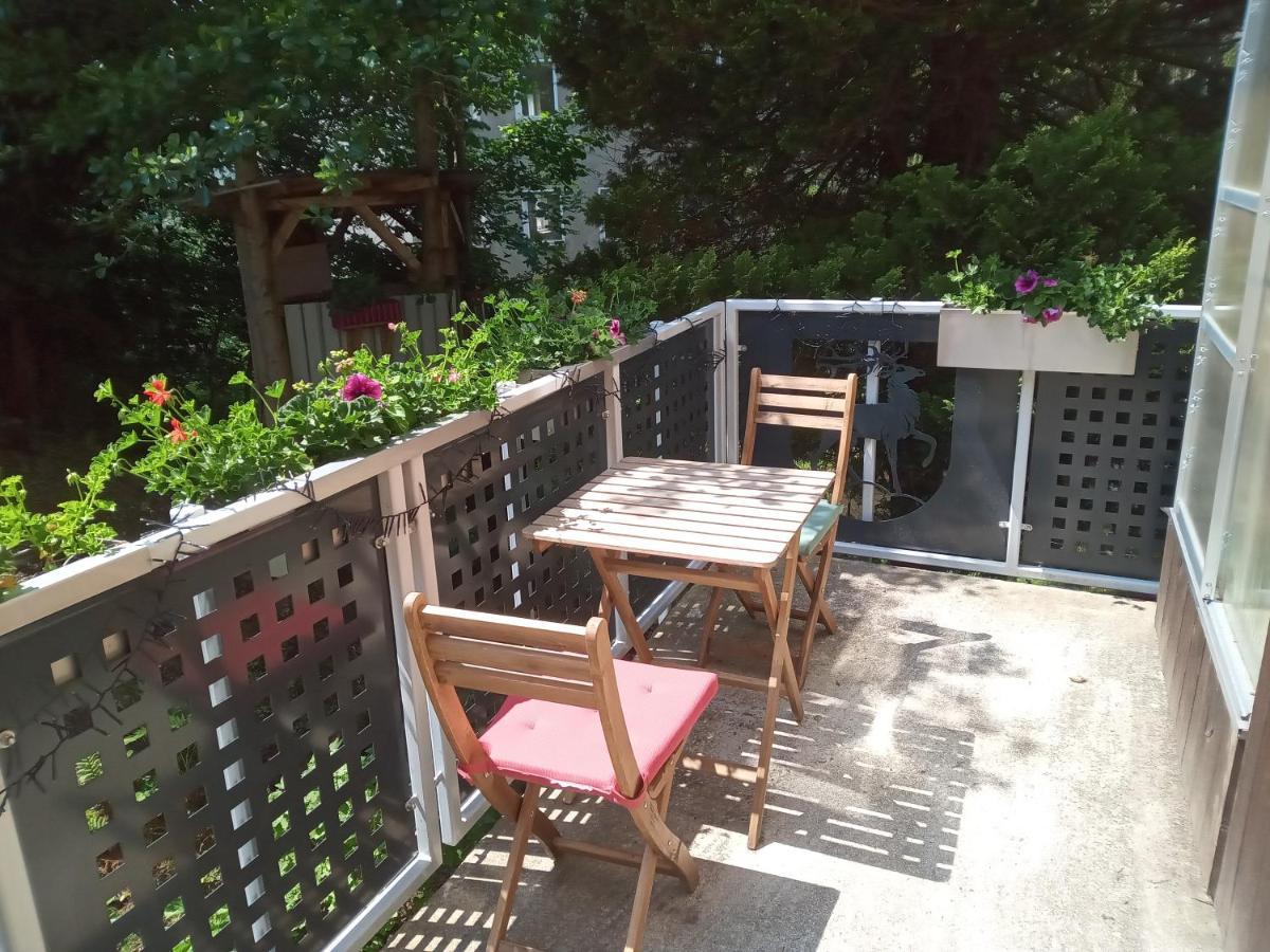 Ferienwohnung Zum Sebnitzer Hirsch المظهر الخارجي الصورة