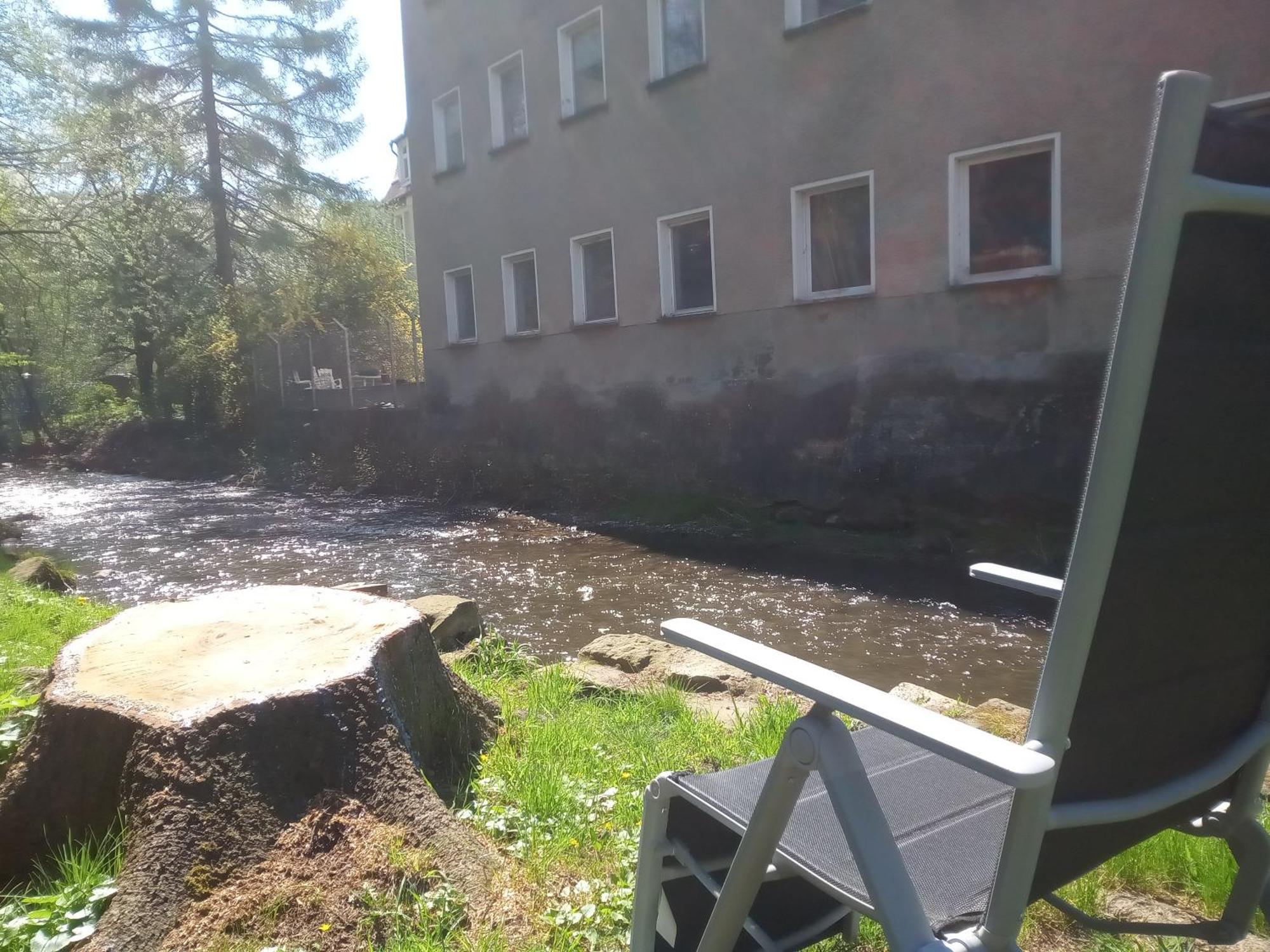 Ferienwohnung Zum Sebnitzer Hirsch المظهر الخارجي الصورة