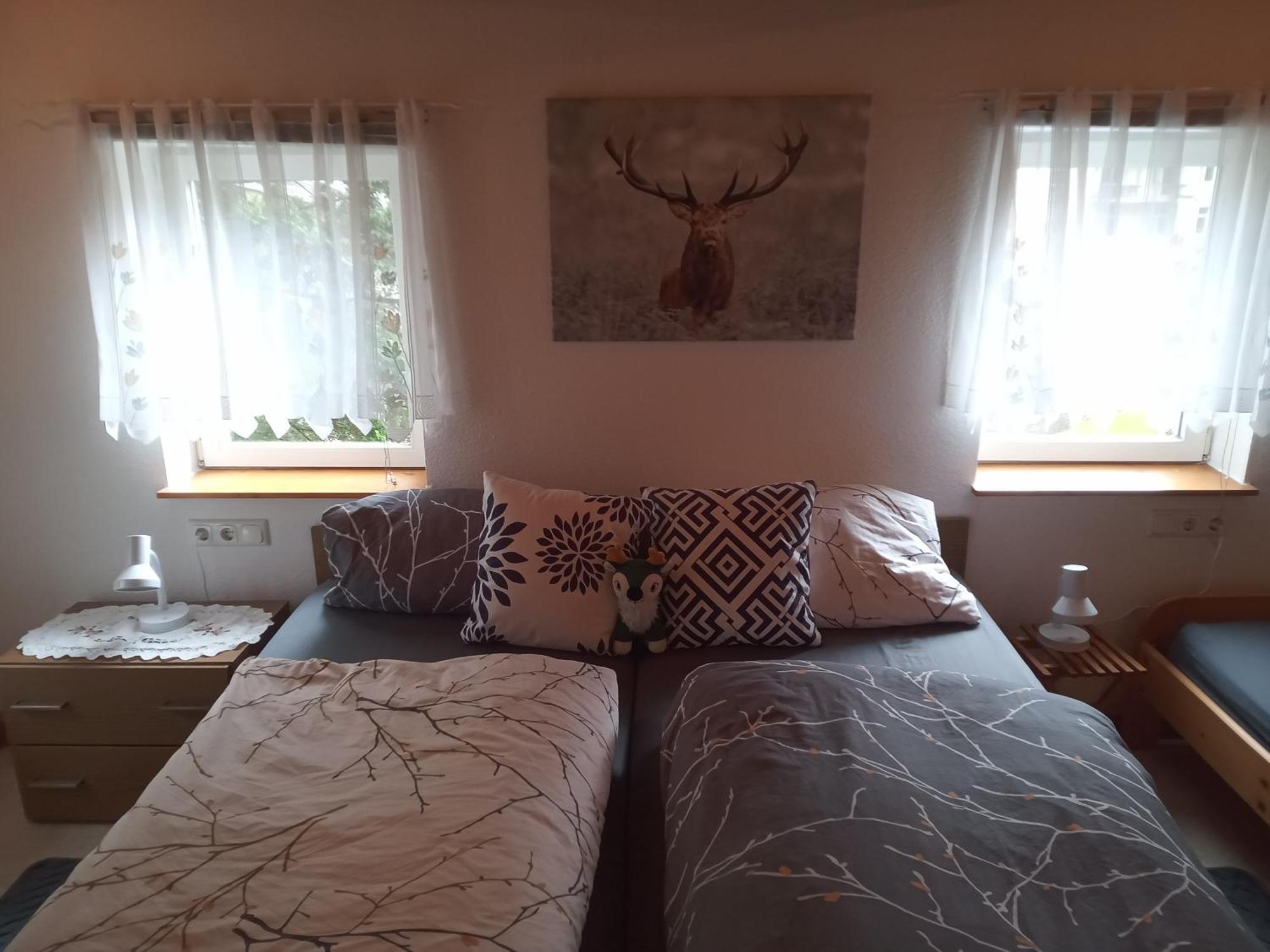 Ferienwohnung Zum Sebnitzer Hirsch المظهر الخارجي الصورة